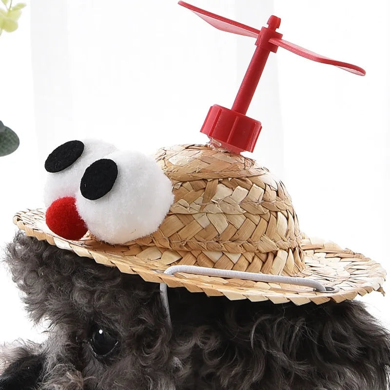 Universal Dog Hat