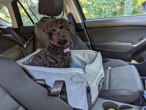 Portable Dog Carrier
