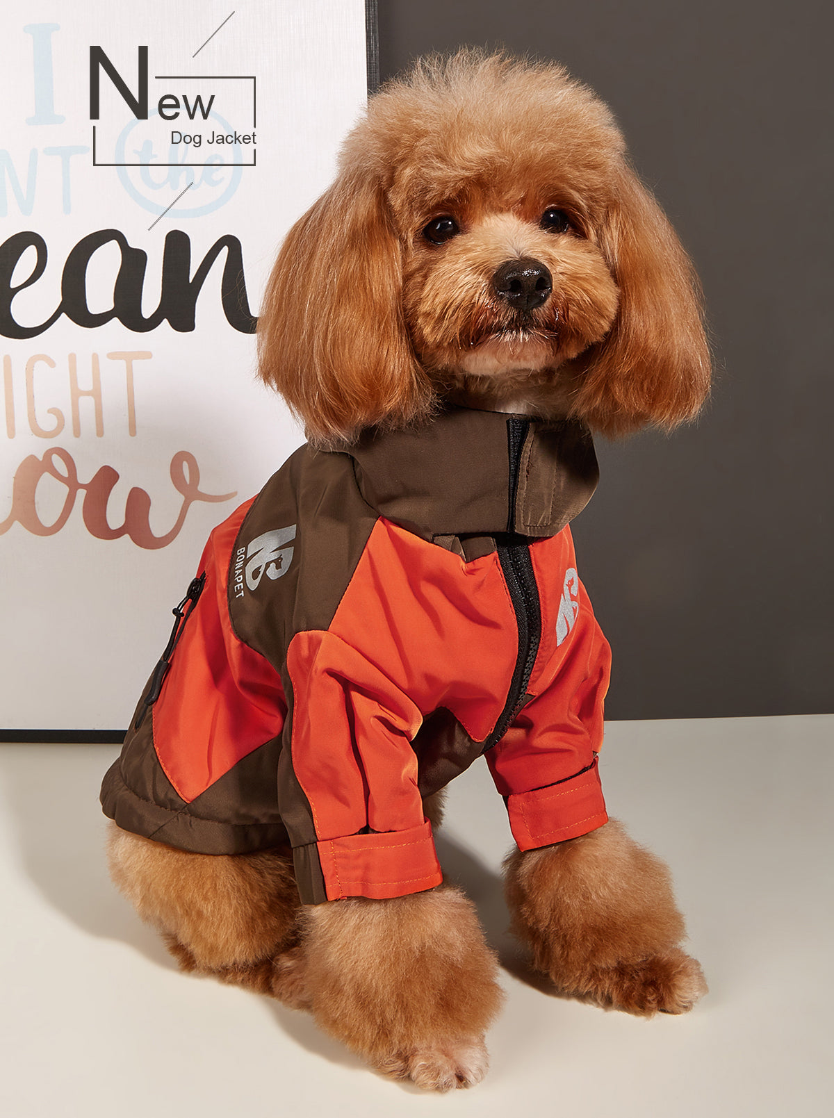 Poodle Waterproof Raincoat