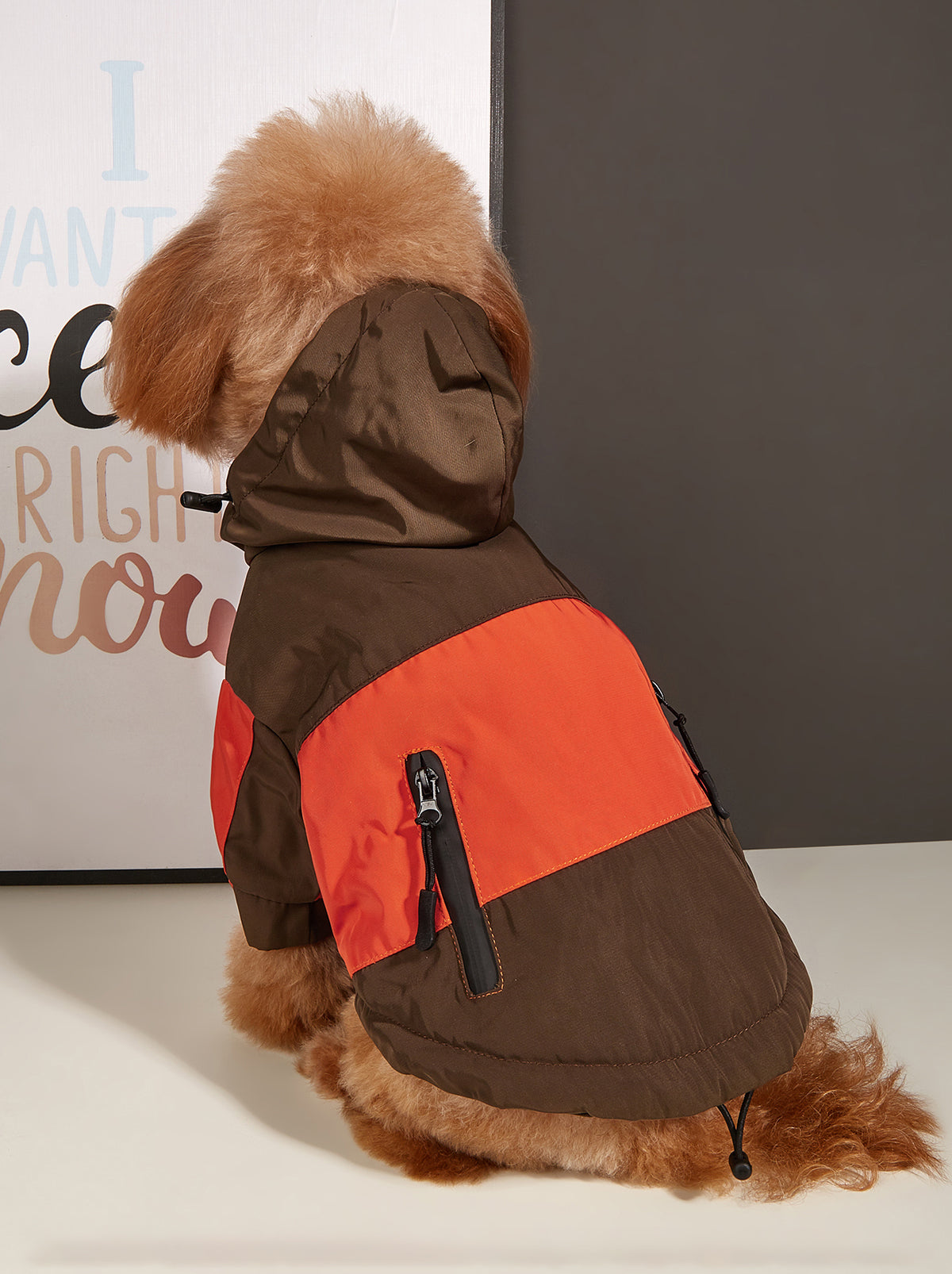 Poodle Waterproof Raincoat