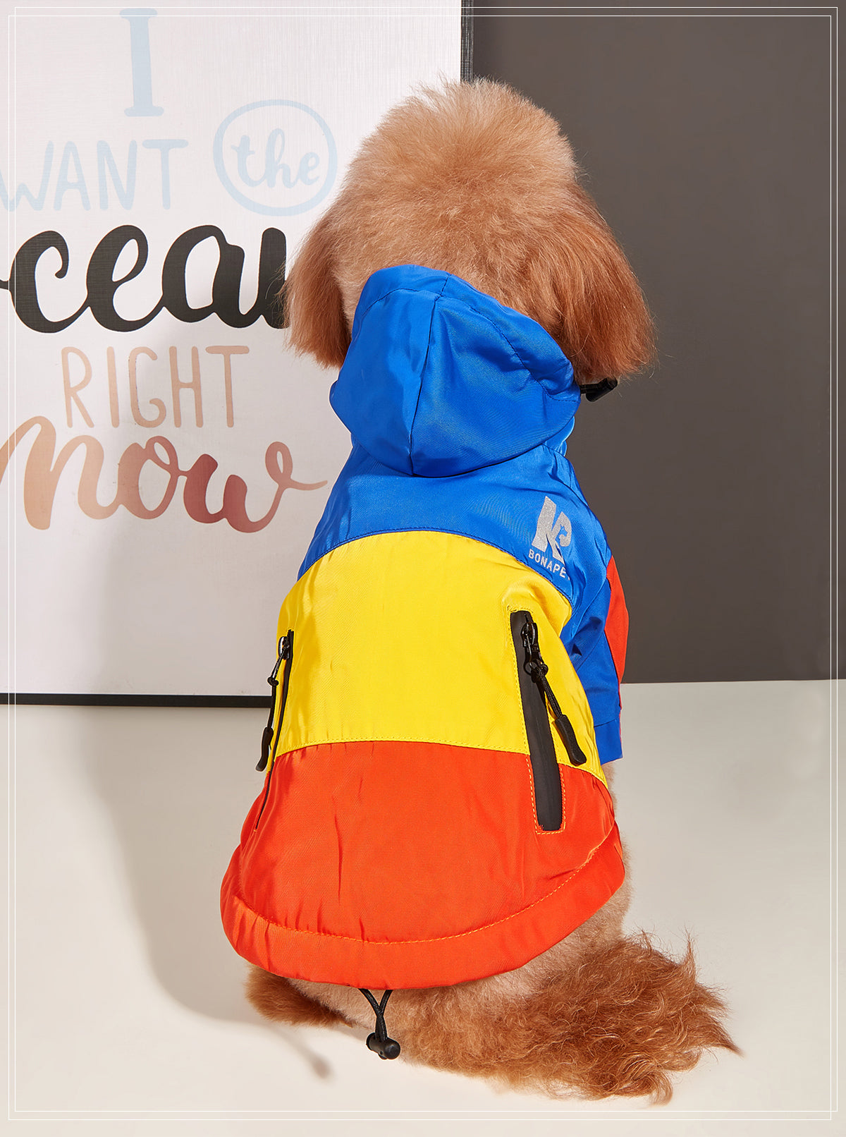 Poodle Waterproof Raincoat