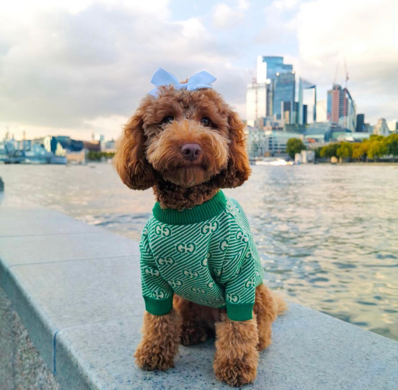 Green Winter Sweater