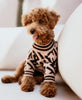 poodle in poodlein shop brown dog sweater