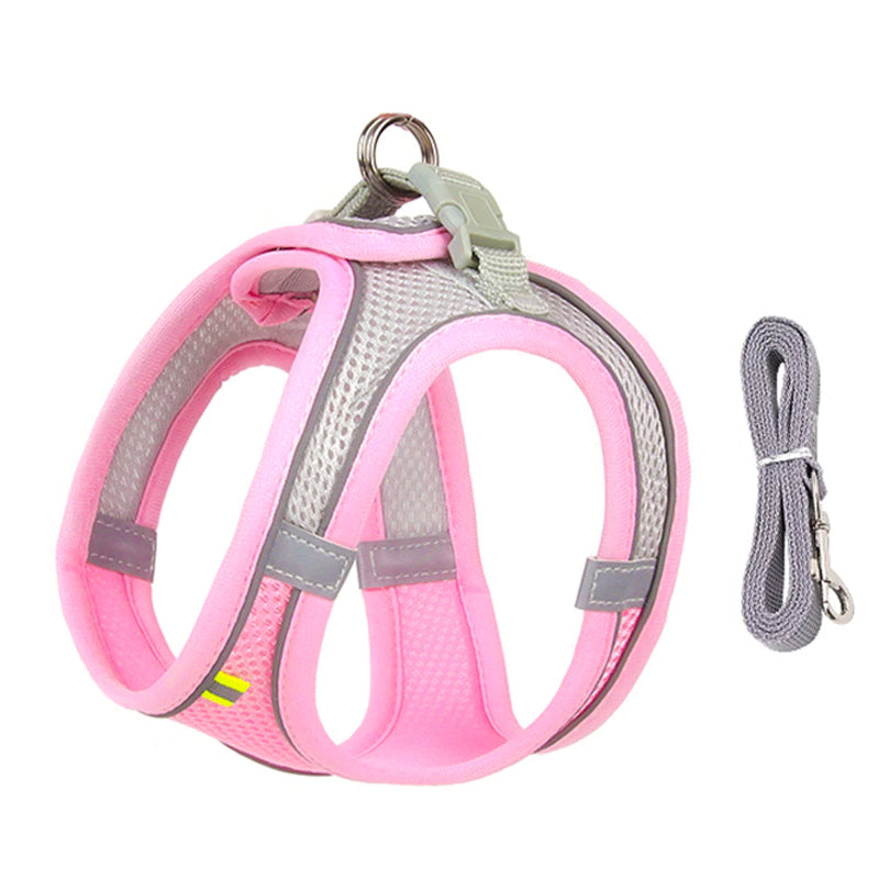 Designer Dog Harness & Leash – Poodle In