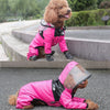 poodle in poodlein shop the dog face raincoat