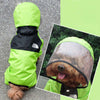 poodle in poodlein shop the dog face raincoat