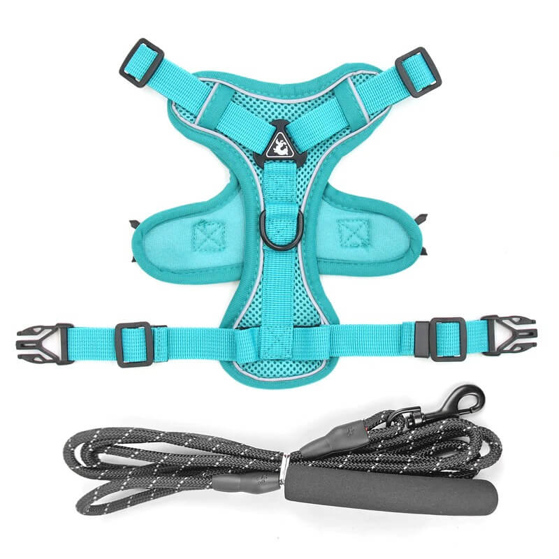 Designer Dog Harness & Leash – Poodle In