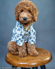 poodle in poodlein shop pupreme monogram hoodie 