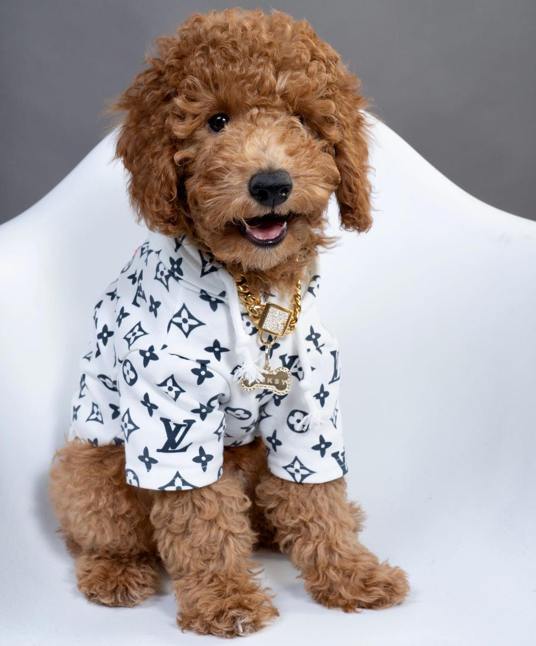 poodle in poodlein shop pupreme monogram hoodie 