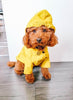 poodle in poodlein shop yellow raincoat 