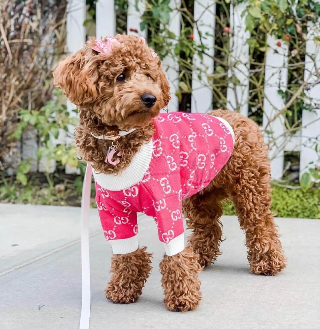 Pink Winter Sweater