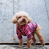 poodle in shop poodlein pink zebra bomber jacket