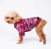 poodle in shop poodlein pink zebra bomber jacket